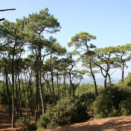 Villa Familiale A 300M De La Plage De L'Ocean Saint-Brévin-les-Pins Buitenkant foto